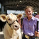 Inter-State Fair beef show results announced
