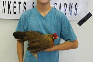 Inter-State Fair poultry show held