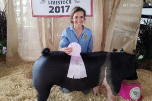 Hog show held at Inter-State Fair