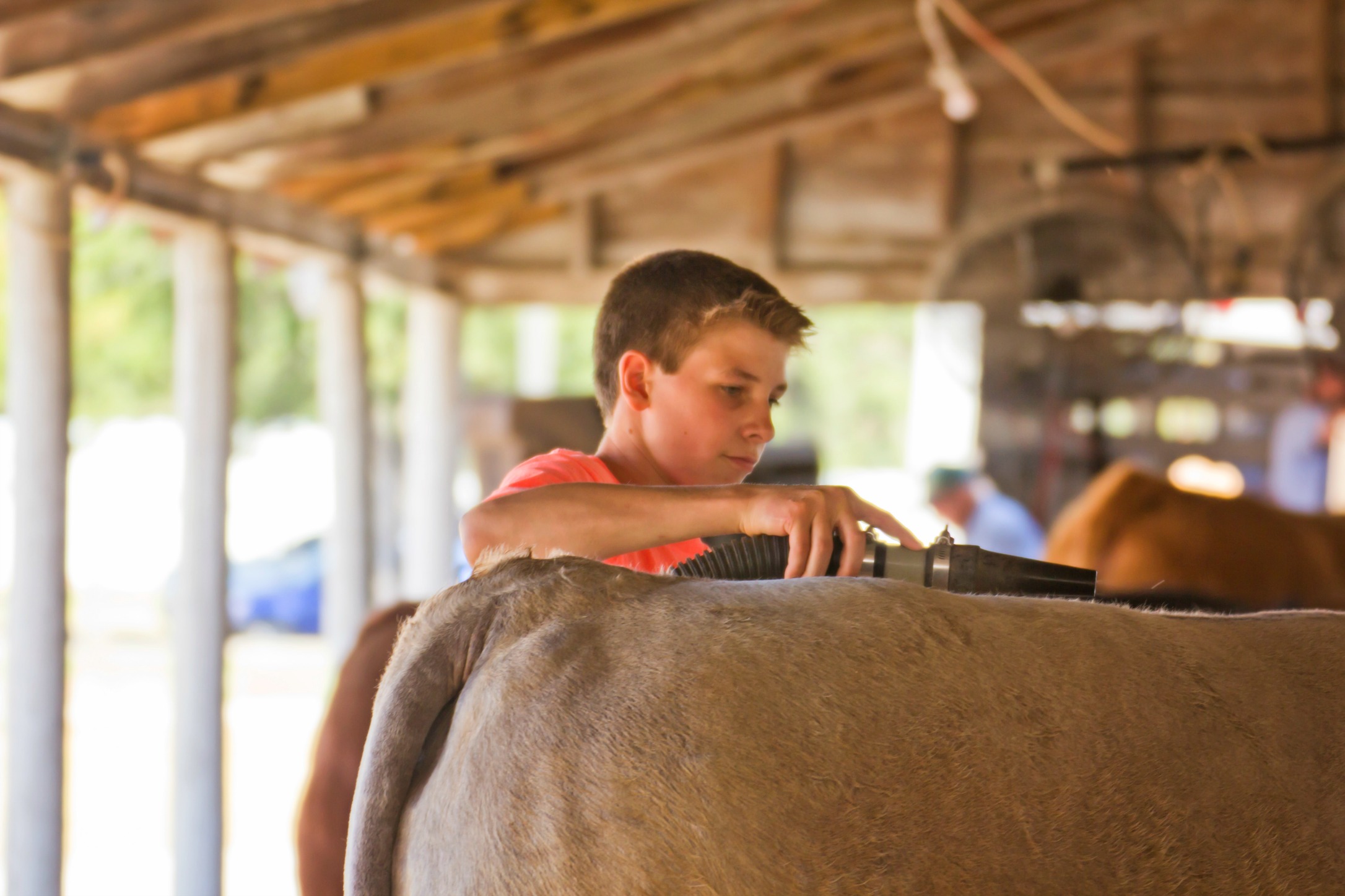 Spring steer and heifer jackpot to be held in Coffeyville InterState