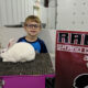 RABBIT SHOW HELD AT INTER-STATE FAIR