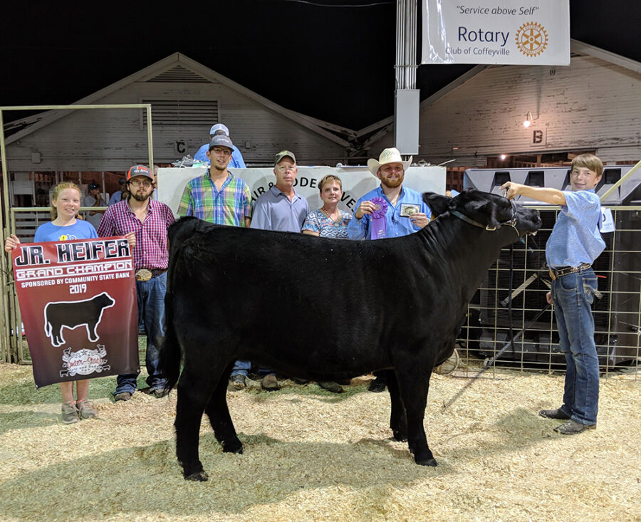 JUNIOR HEIFER SHOW RESULTS