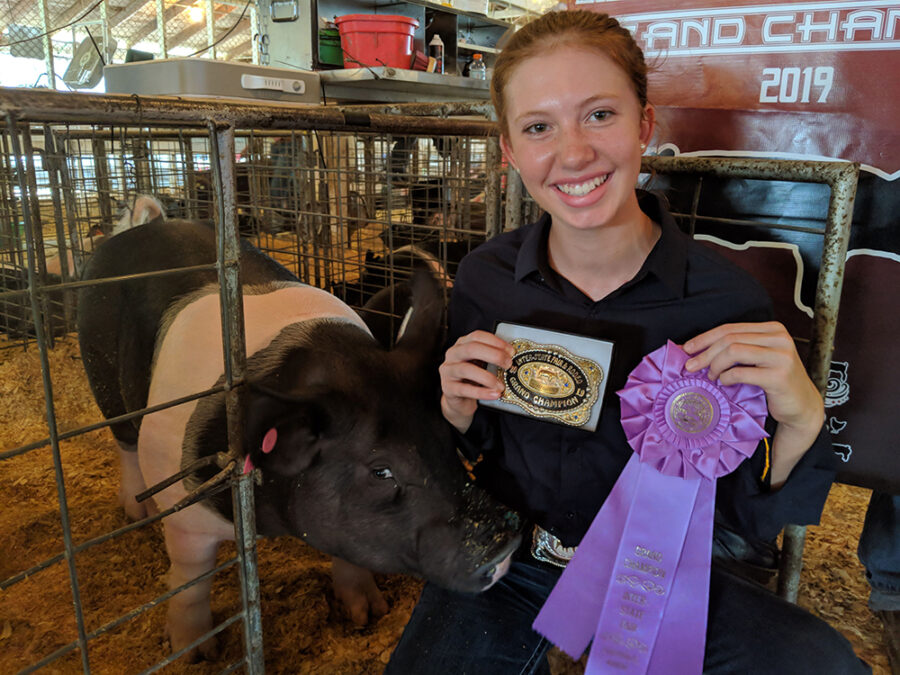 SWINE SHOW RESULTS AT THE INTER-STATE FAIR
