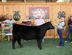 GrandHeifer