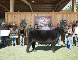 GrandSteer