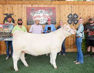 ReserveHeifer